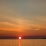 photo_2026-03-08_14-41-42 (3)