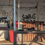 photo_2026-03-08_14-41-42 (4)