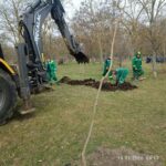 photo_2026-03-20_14-36-30 (3)