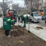 photo_2026-03-20_14-36-31 (2)