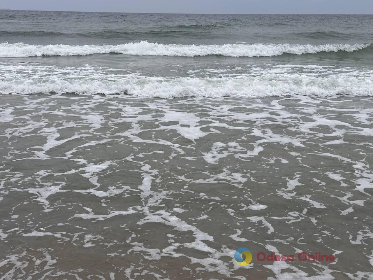 Фото тижня в Одесі: море, перші квіти та наслідки ворожої атаки