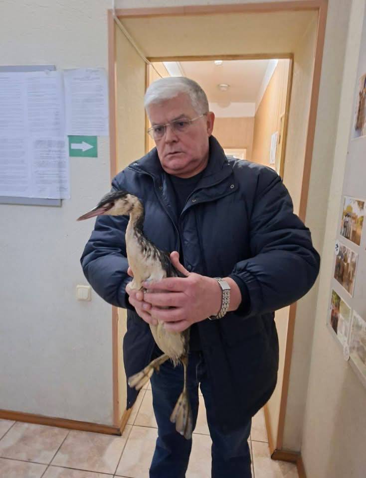 Одесский зоопарк вернул в природу спасенных поганок