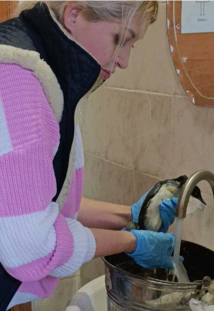 Одесский зоопарк вернул в природу спасенных поганок