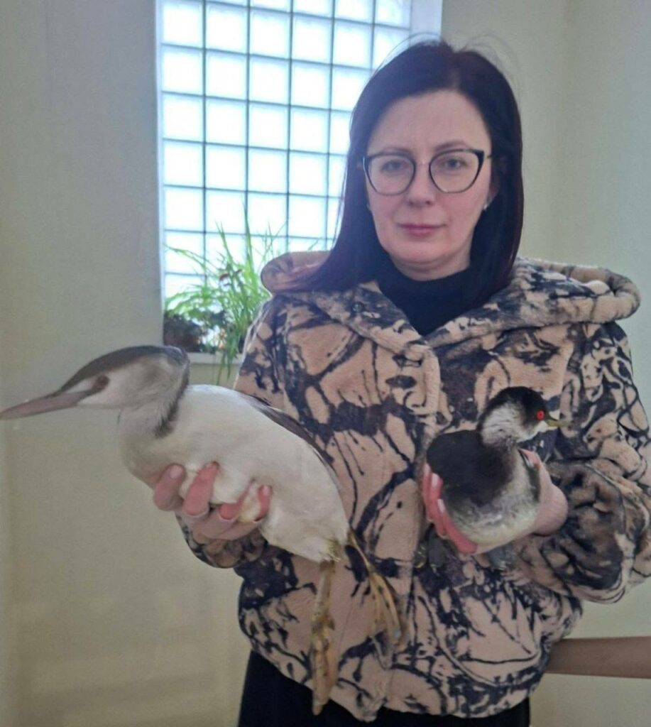 Одесский зоопарк вернул в природу спасенных поганок