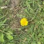 photo_2026-03-29_15-03-34 (2)