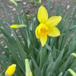 photo_2026-03-29_15-03-44 (2)