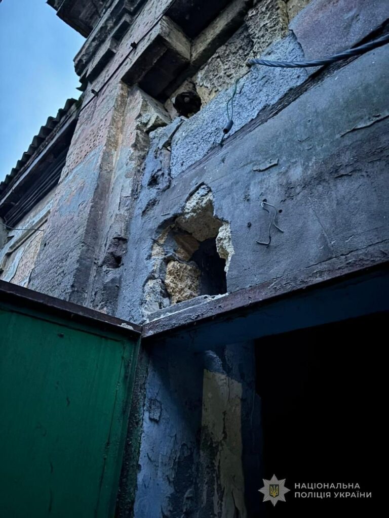 Розкрадання на ремонті Одеського зоопарку: підрядник та інженер отримали підозри