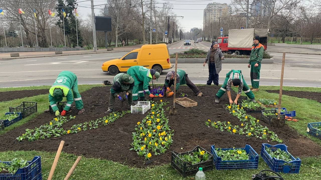Квітковий Тризуб та морські хвилі: площу Десятого квітня в Одесі прикрашають до свята