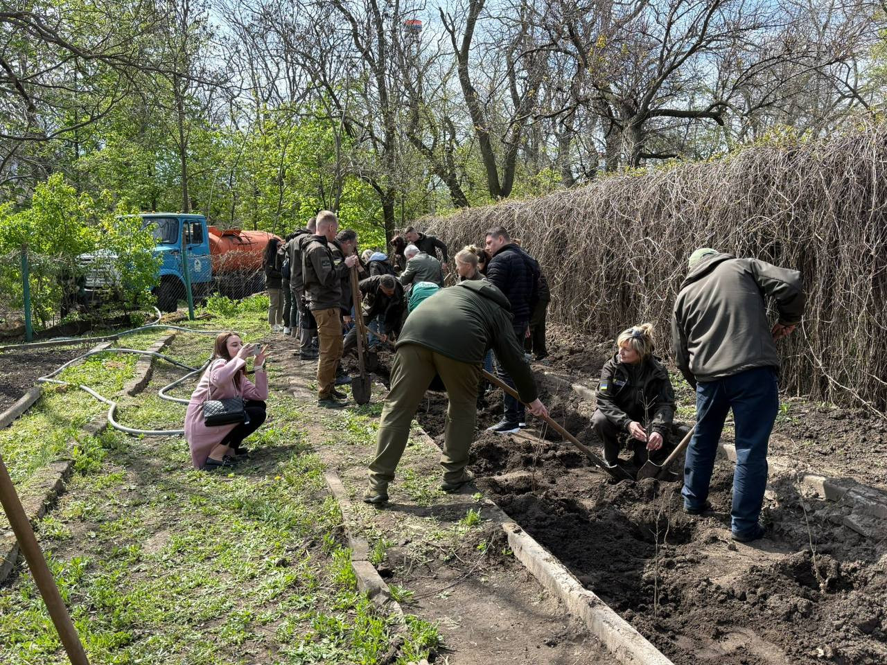 В одесских парках высадили «дубы Шевченко», ели и кусты форзиции В одесских парках высадили «дубы Шевченко», ели и кусты форзиции
