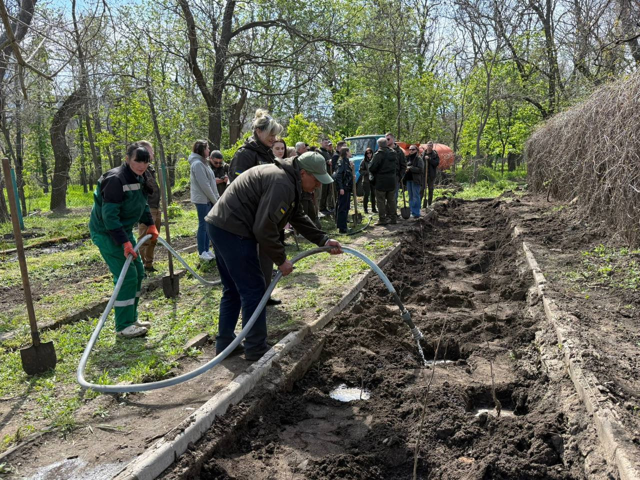 В одесских парках высадили «дубы Шевченко», ели и кусты форзиции В одесских парках высадили «дубы Шевченко», ели и кусты форзиции