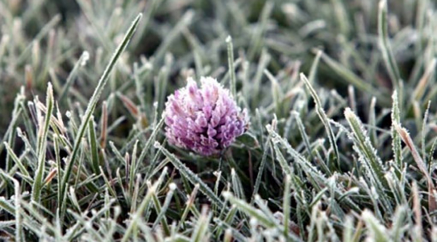 Якою буде погода в Одесі та області 14 квітня