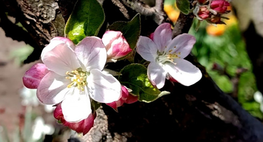 Якою буде погода в Одесі та області 26 квітня