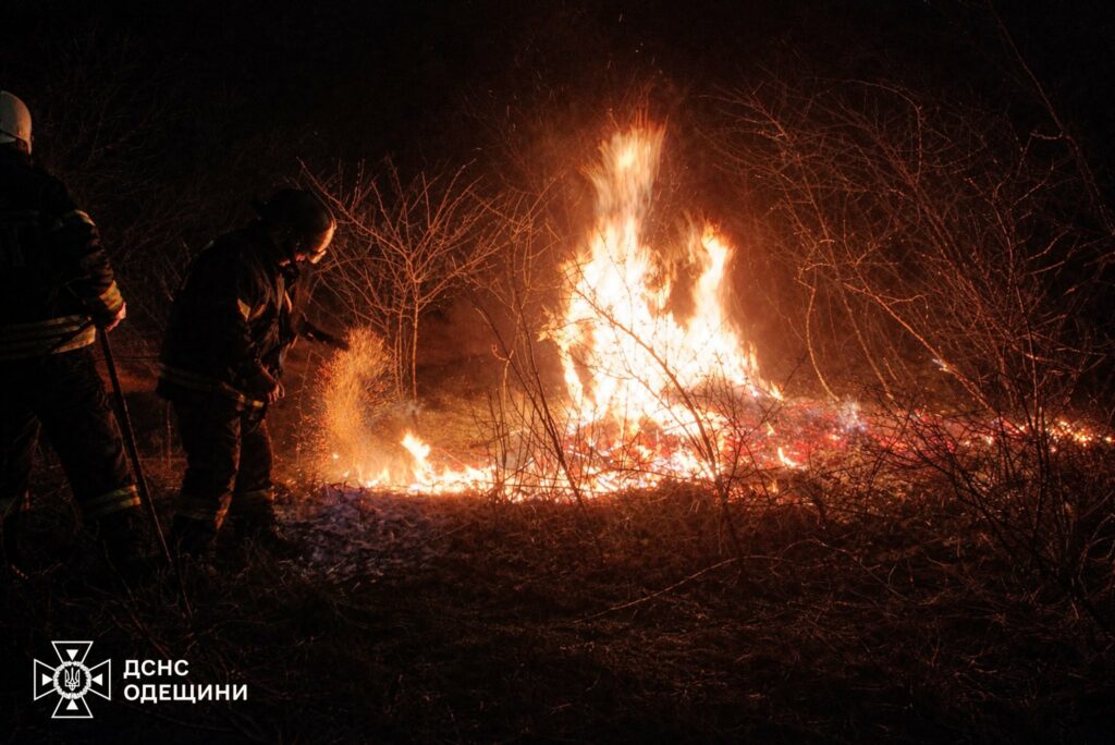 Понад сім мільйонів гривень збитків за тиждень: на Одещині масово палає сухостій Понад сім мільйонів гривень збитків за тиждень: на Одещині масово палає сухостій