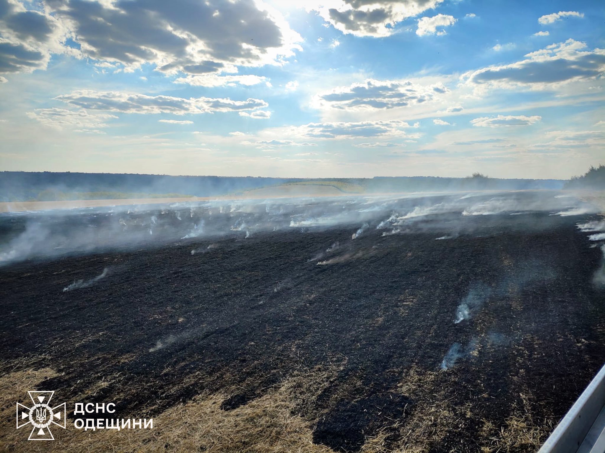 Понад сім мільйонів гривень збитків за тиждень: на Одещині масово палає сухостій Понад сім мільйонів гривень збитків за тиждень: на Одещині масово палає сухостій