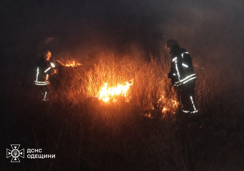 Понад сім мільйонів гривень збитків за тиждень: на Одещині масово палає сухостій Понад сім мільйонів гривень збитків за тиждень: на Одещині масово палає сухостій