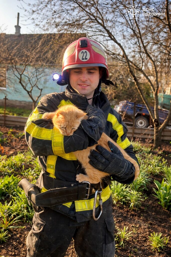 На Одещині рятувальники дістали кота з глибокої криниці