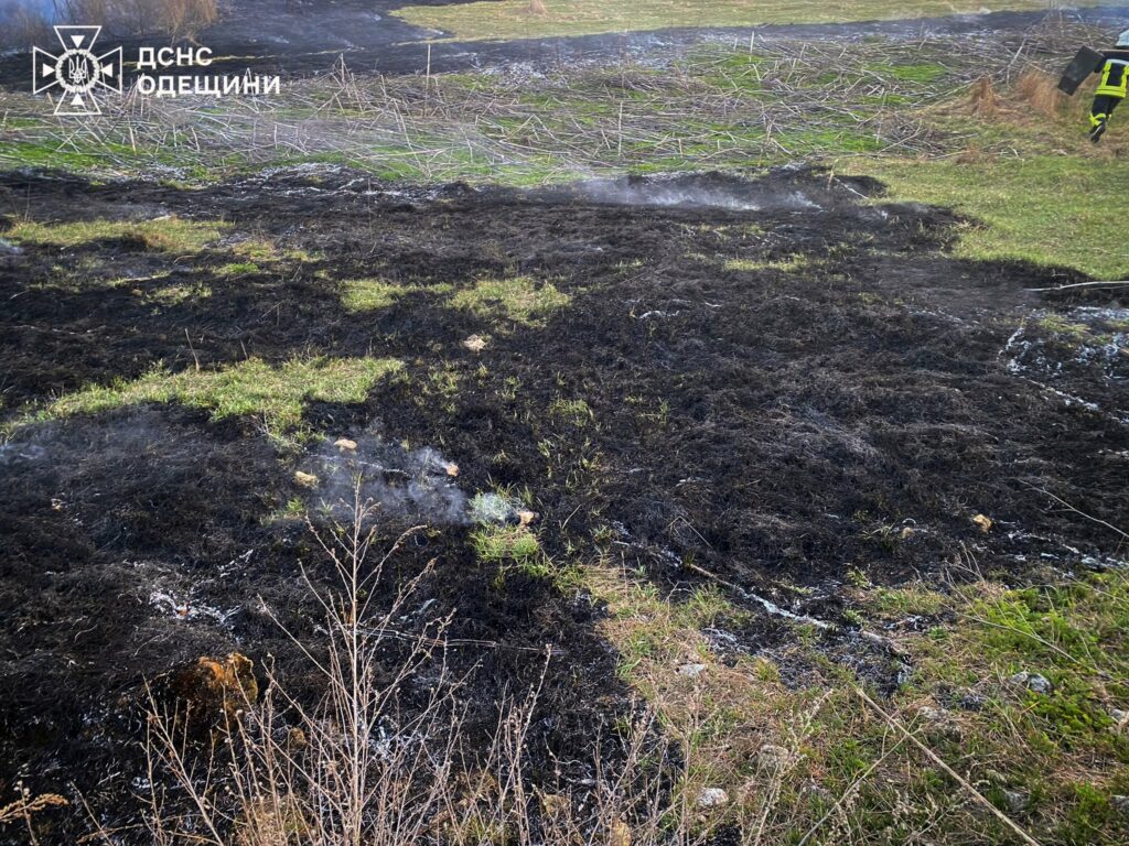 Понад сім мільйонів гривень збитків за тиждень: на Одещині масово палає сухостій Понад сім мільйонів гривень збитків за тиждень: на Одещині масово палає сухостій