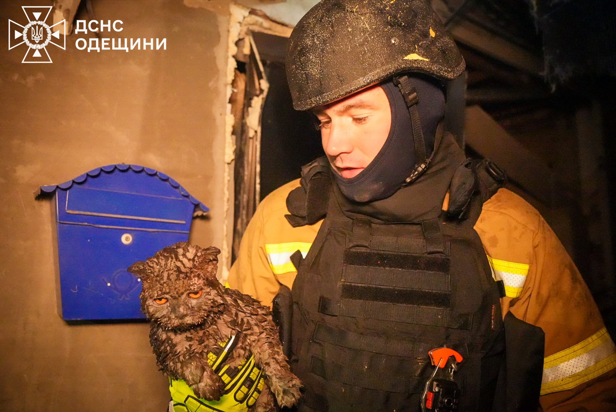 Внаслідок атаки РФ в Одесі загинуло літнє подружжя, значних пошкоджень зазнали житлові будинки Внаслідок атаки РФ в Одесі загинуло літнє подружжя, значних пошкоджень зазнали житлові будинки
