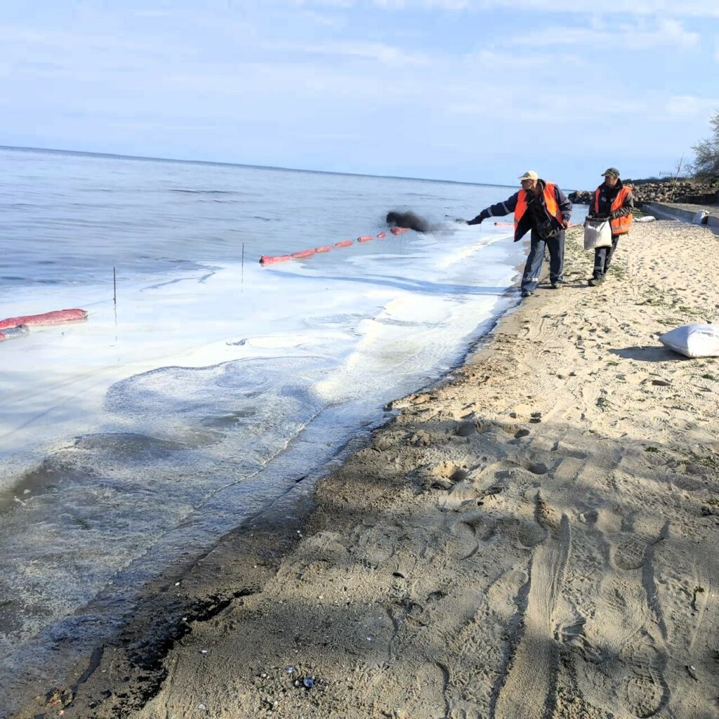 Олія забруднила море в Чорноморську: екологи врятували постраждалого лебедя