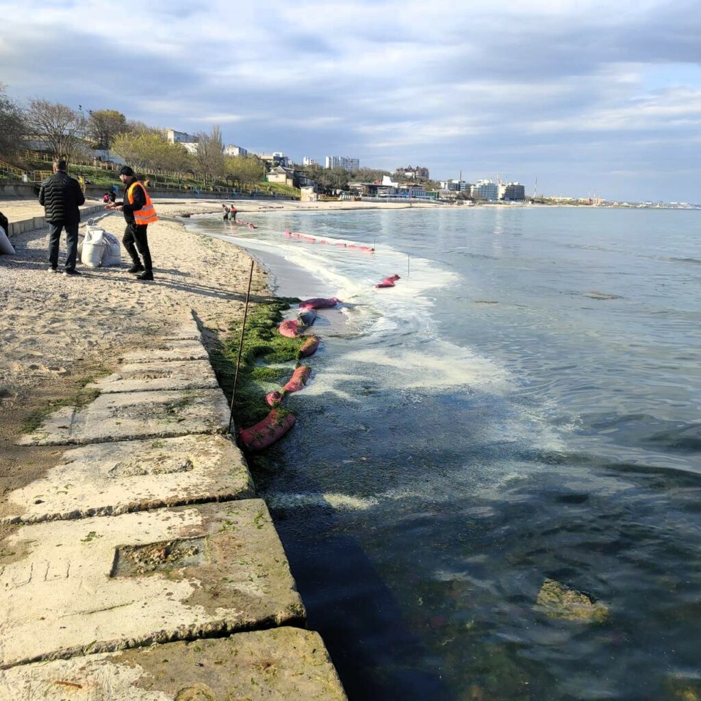 Олія забруднила море в Чорноморську: екологи врятували постраждалого лебедя