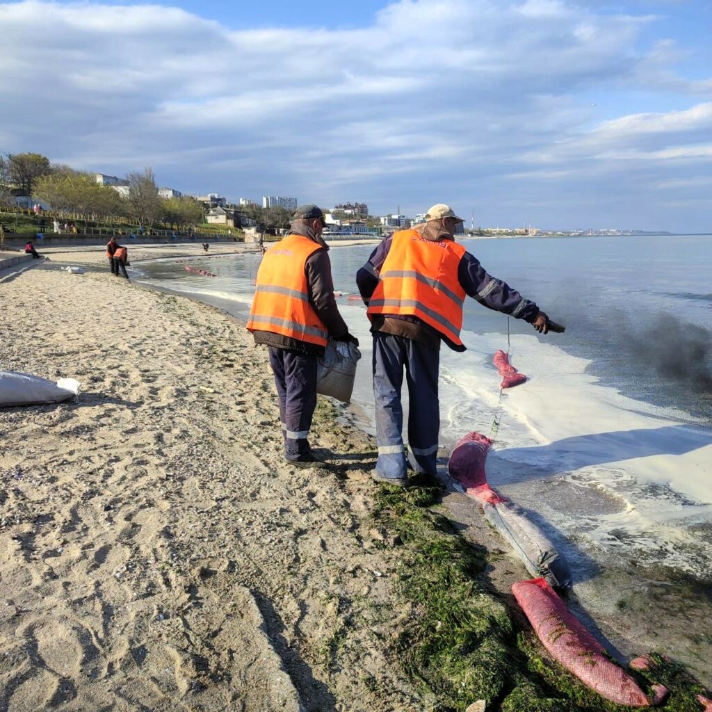 Олія забруднила море в Чорноморську: екологи врятували постраждалого лебедя