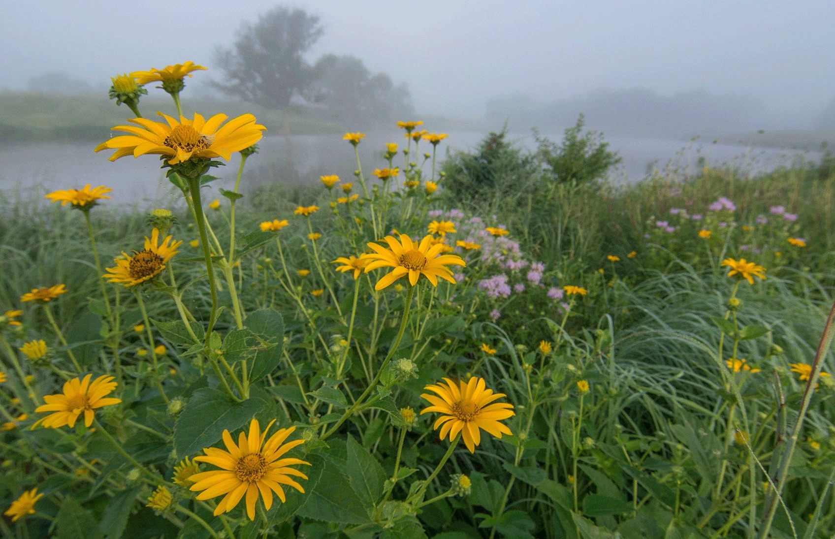 Дождь и туман: какой будет погода в Одессе и области 3 апреля Дождь и туман: какой будет погода в Одессе и области 3 апреля