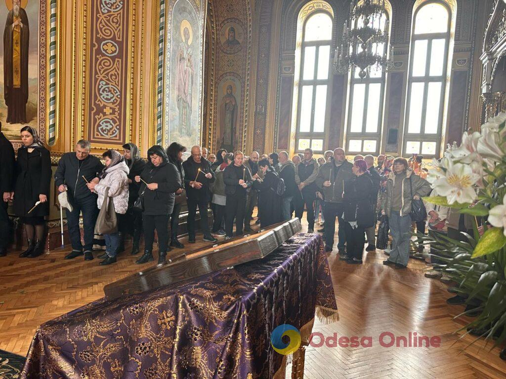 Одесса в объективе: цветущие деревья, спасенные летучие мыши и вера в победу