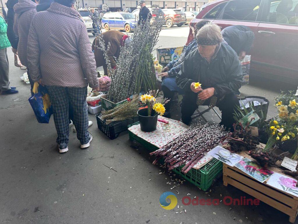 Верба, паска та зелень: актуальні ціни на одеському Привозі Верба, паска та зелень: актуальні ціни на одеському Привозі