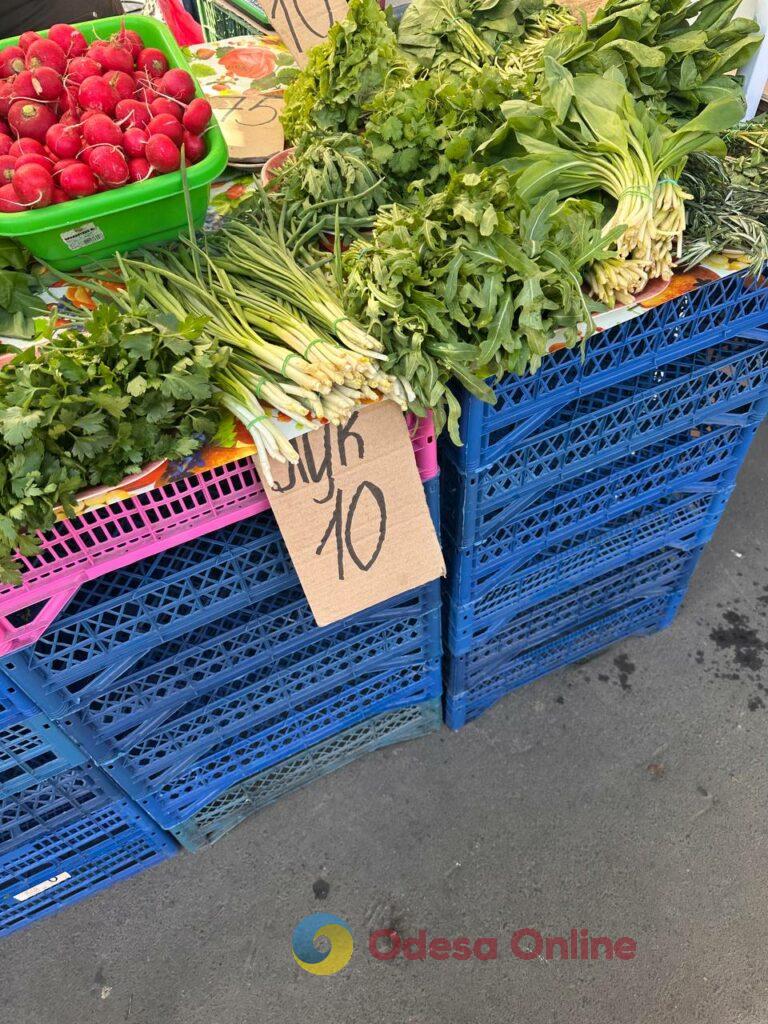 Верба, паска та зелень: актуальні ціни на одеському Привозі Верба, паска та зелень: актуальні ціни на одеському Привозі