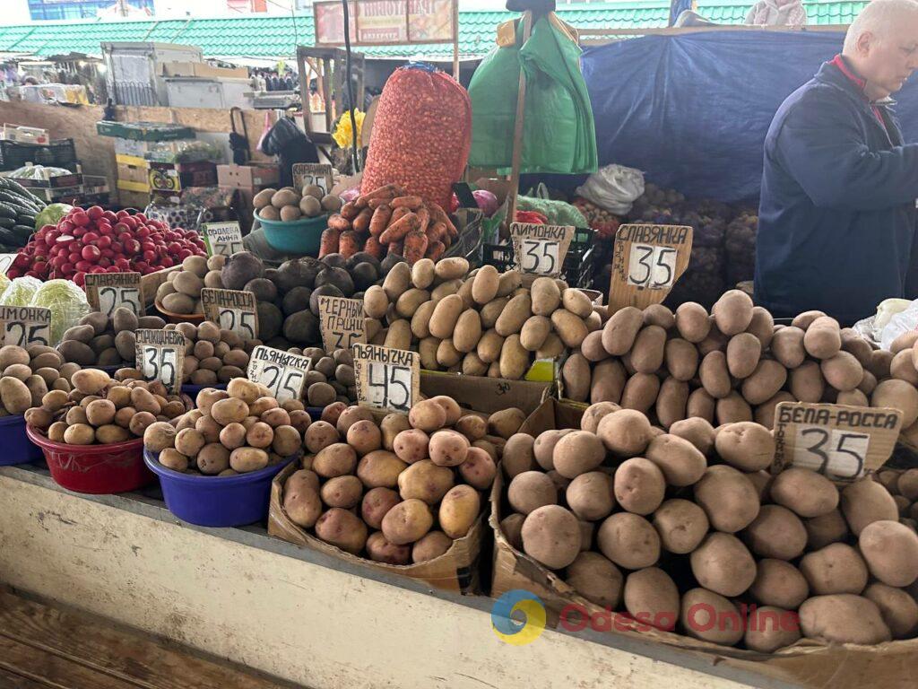 Верба, паска та зелень: актуальні ціни на одеському Привозі Верба, паска та зелень: актуальні ціни на одеському Привозі