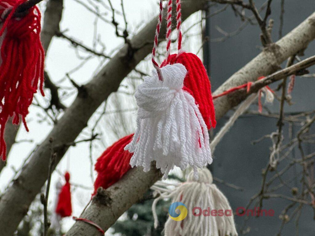 Одесса в объективе: цветущие деревья, спасенные летучие мыши и вера в победу