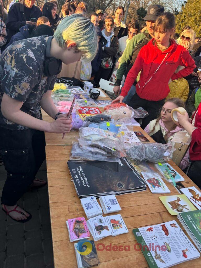 Вперше в Одесі: у парку Шевченка випустили на волю 27 врятованих кажанів