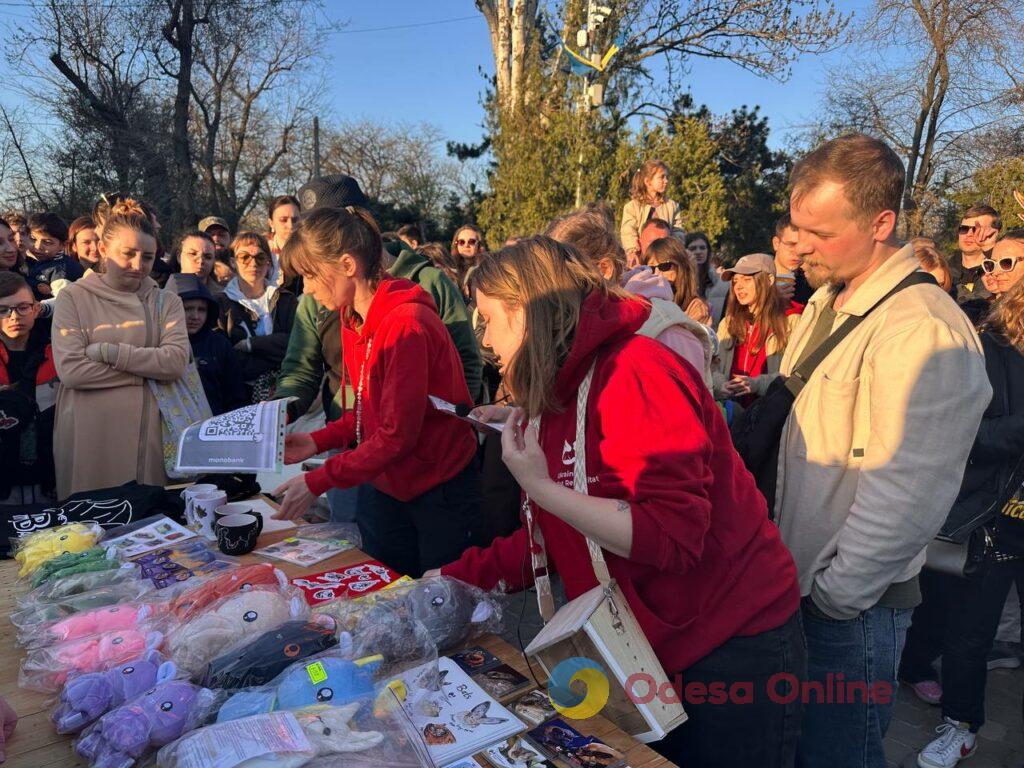 Вперше в Одесі: у парку Шевченка випустили на волю 27 врятованих кажанів