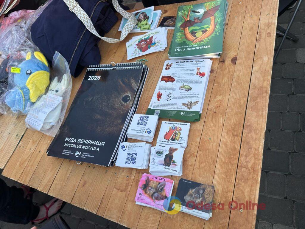 Вперше в Одесі: у парку Шевченка випустили на волю 27 врятованих кажанів