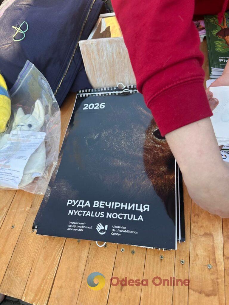 Вперше в Одесі: у парку Шевченка випустили на волю 27 врятованих кажанів