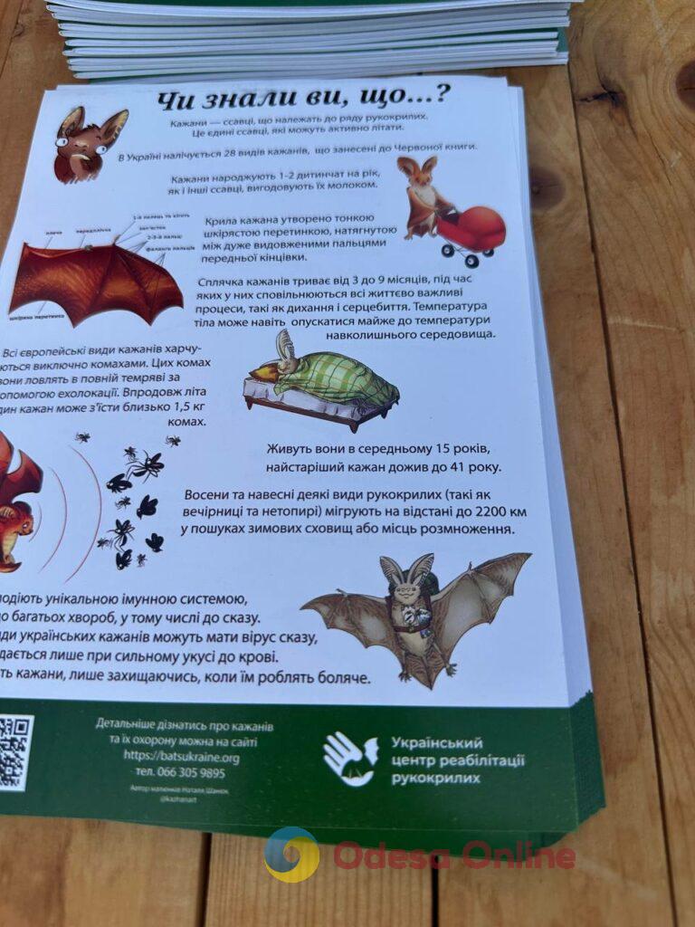 Вперше в Одесі: у парку Шевченка випустили на волю 27 врятованих кажанів Впервые в Одессе: в парке Шевченко выпустили на волю 27 спасенных летучих мышей