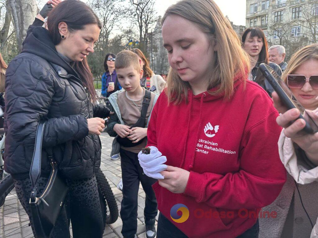 Вперше в Одесі: у парку Шевченка випустили на волю 27 врятованих кажанів Впервые в Одессе: в парке Шевченко выпустили на волю 27 спасенных летучих мышей