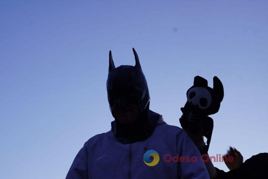 Вперше в Одесі: у парку Шевченка випустили на волю 27 врятованих кажанів Впервые в Одессе: в парке Шевченко выпустили на волю 27 спасенных летучих мышей