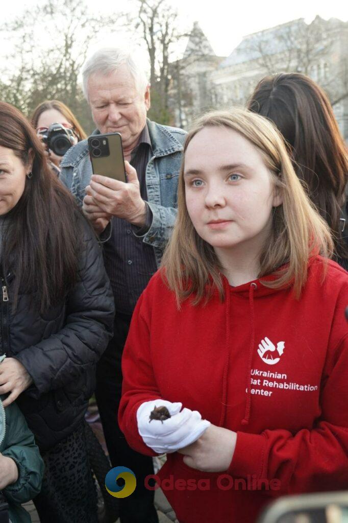 Вперше в Одесі: у парку Шевченка випустили на волю 27 врятованих кажанів Впервые в Одессе: в парке Шевченко выпустили на волю 27 спасенных летучих мышей