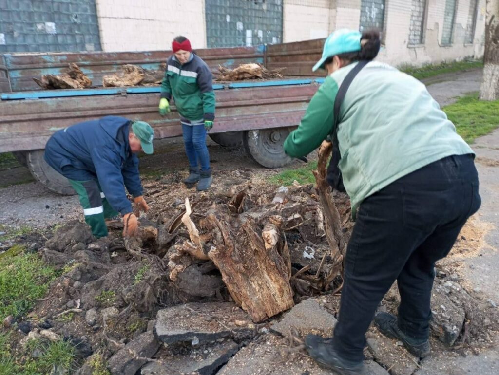 В Одесі з початку року підрізали майже 1400 дерев: де зараз тривають роботи