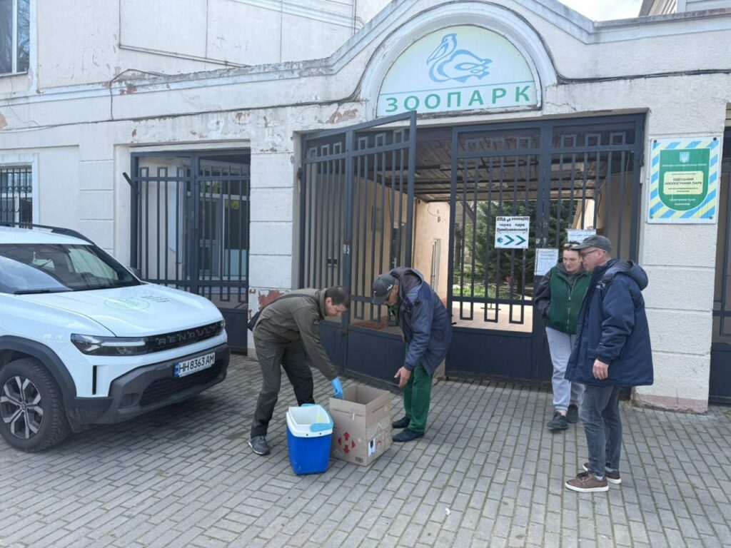 Плями та специфічний запах: під Одесою зафіксували забруднення моря