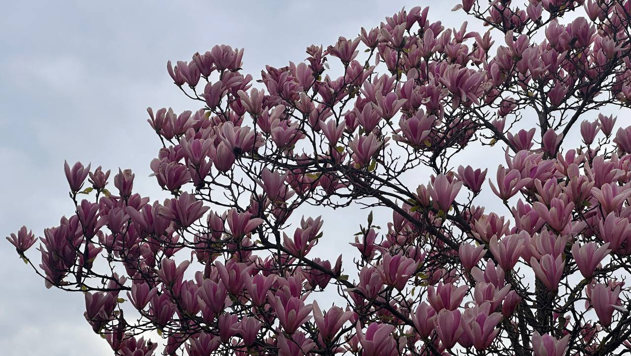 Якою буде погода в Одесі та області 20 квітня