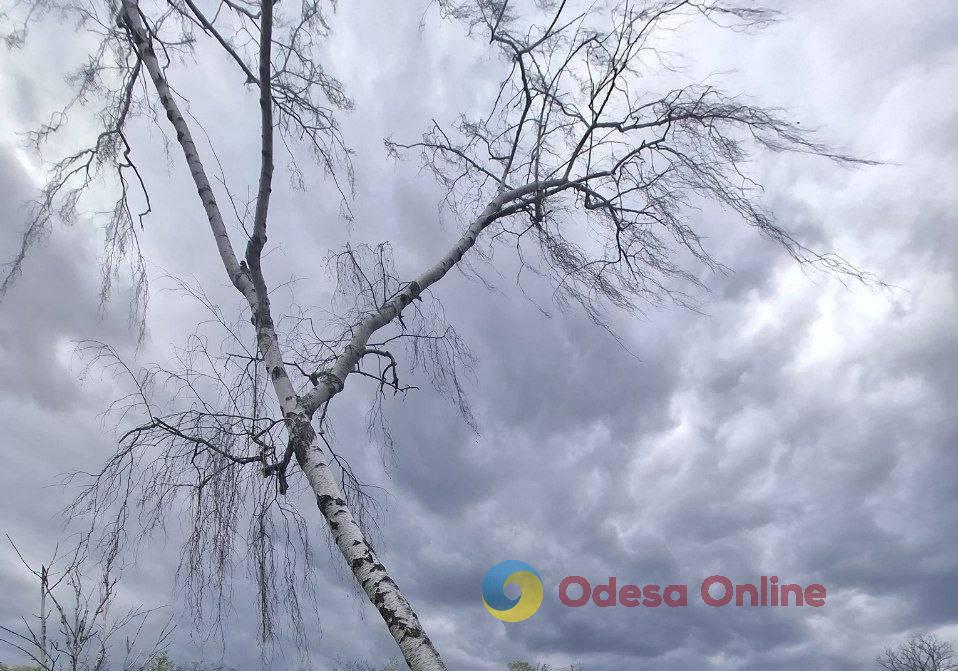 Одесити насолоджуються морем та цвітом сакур у паузах між тривогами Одесити насолоджуються морем та цвітом сакур у паузах між тривогами