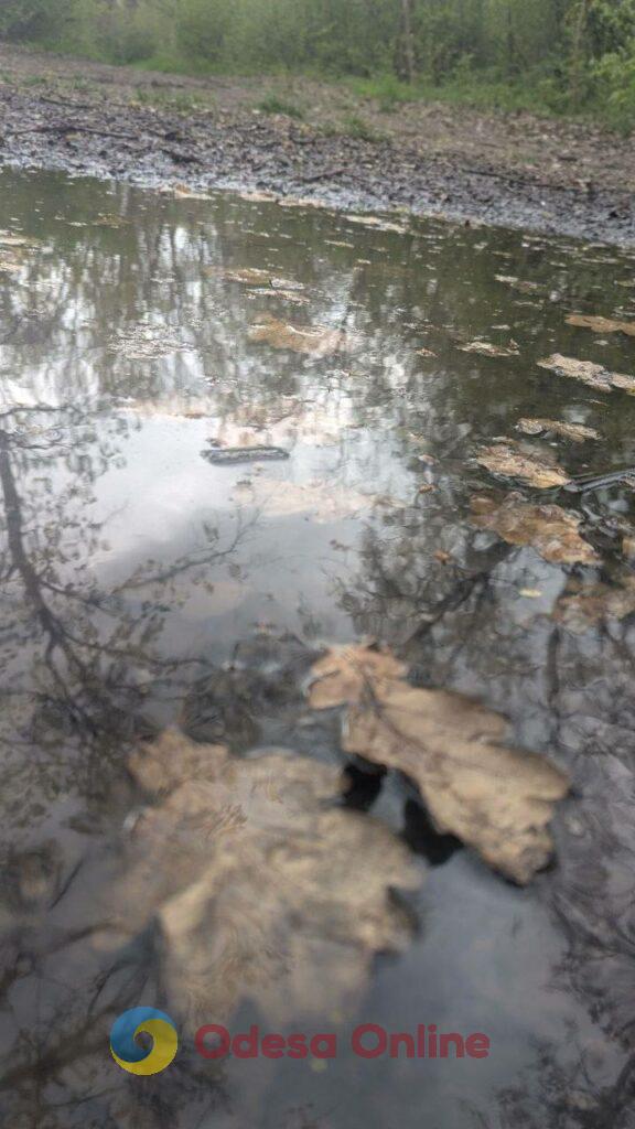 Одесити насолоджуються морем та цвітом сакур у паузах між тривогами Одесити насолоджуються морем та цвітом сакур у паузах між тривогами