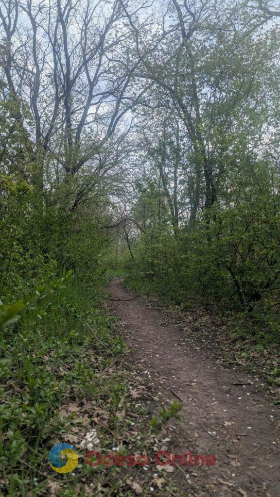 Одесити насолоджуються морем та цвітом сакур у паузах між тривогами Одесити насолоджуються морем та цвітом сакур у паузах між тривогами