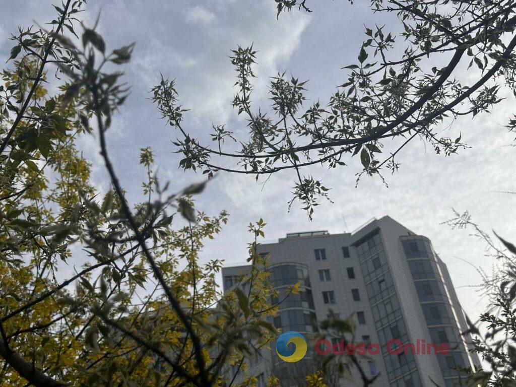 Одесити насолоджуються морем та цвітом сакур у паузах між тривогами Одесити насолоджуються морем та цвітом сакур у паузах між тривогами
