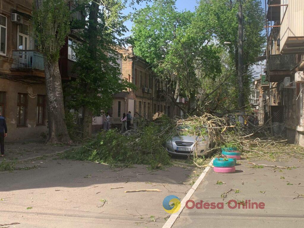 В Одесі через негоду дерево вирвало з коренем: пошкоджені кілька автівок