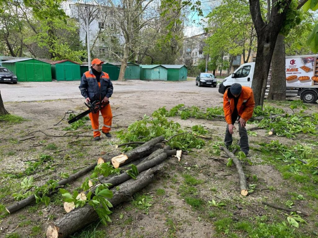 В Одесі вітер повалив майже 40 дерев: комунальники працюють у посиленому режимі
