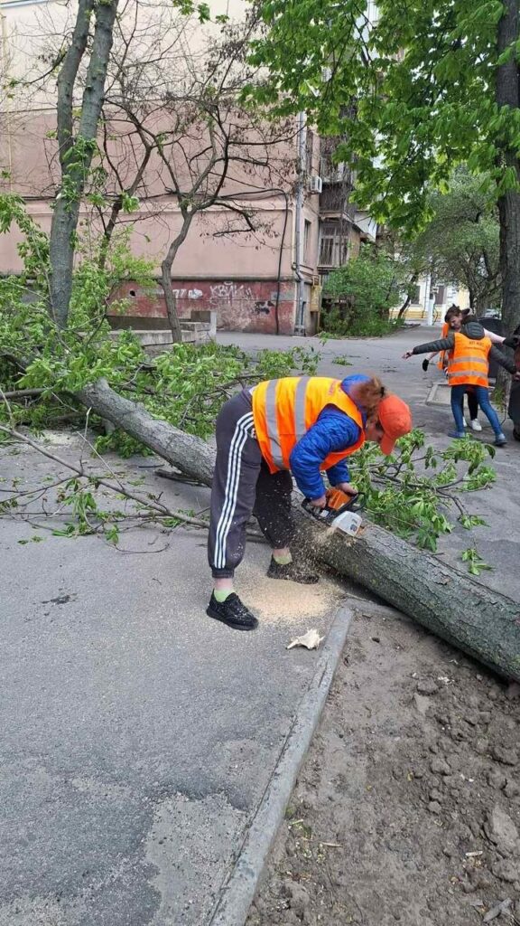 В Одесі вітер повалив майже 40 дерев: комунальники працюють у посиленому режимі