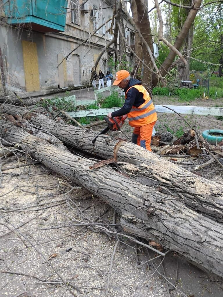 В Одесі вітер повалив майже 40 дерев: комунальники працюють у посиленому режимі